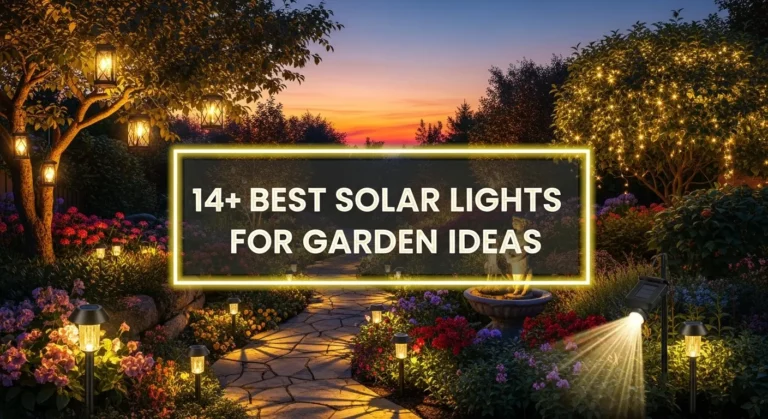 14+ Best Solar Lights for Gardens That Are Both Practical and Beautiful