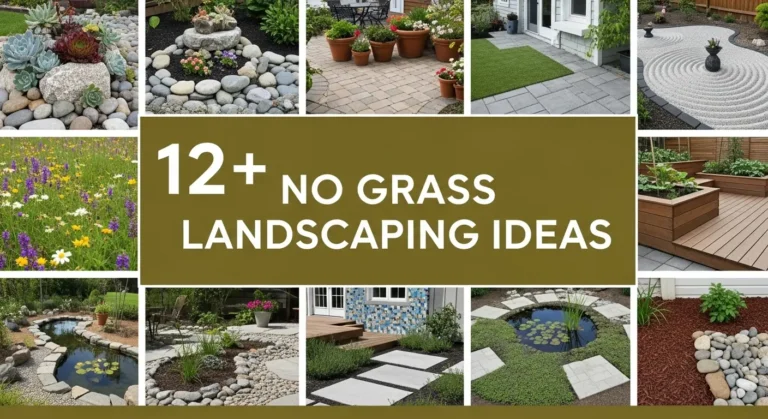 12+ No Grass Landscaping Ideas That Will Transform Your Yard