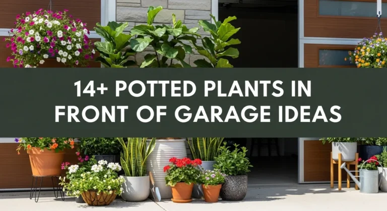 14+ Potted Plants in Front of Garage Ideas That Boost Your Home's Curb Appeal