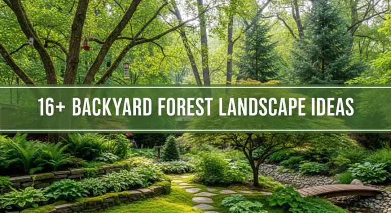 16+ Backyard Forest Landscape Ideas for Natural Beauty