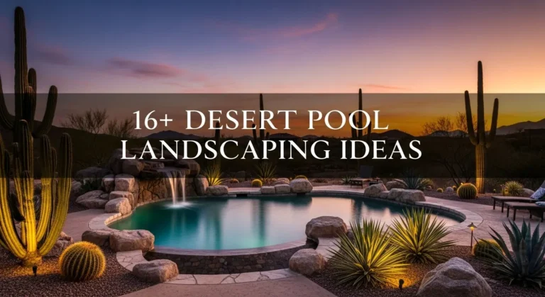 16+ Desert Pool Landscaping Ideas for Stunning Southwest Backyards