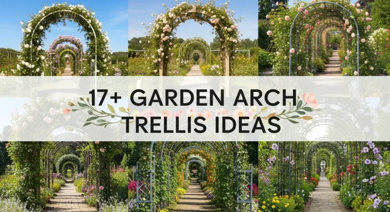 17+ Garden Arch Trellis Ideas for Small Yards and Patios