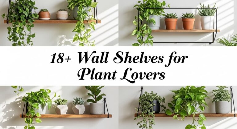 18+ Wall Shelves for Plant Lovers Create Your Indoor Garden Oasis