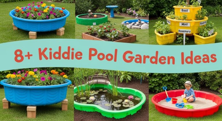 8+ Creative Kiddie Pool Garden Ideas to Transform Your Backyard